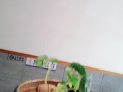 -飞虹鱼馆(春华路店)