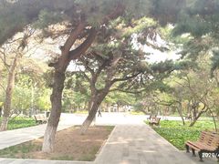 -东北大学(南湖校区)