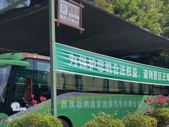 -西双版纳原始森林公园