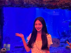 -沈阳海洋探索中心