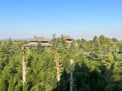 -洛阳白马寺