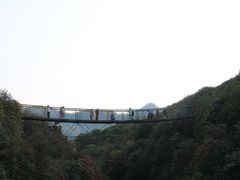 -贵州百里杜鹃风景名胜区