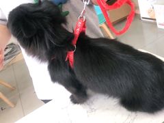 -宠颐生动物医院·小陆分院