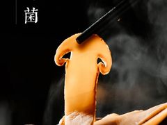 -蘑界·野生菌火锅(深业上城店)