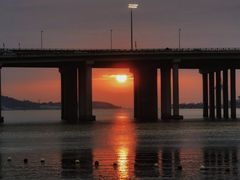 -深圳湾公园(南山区)