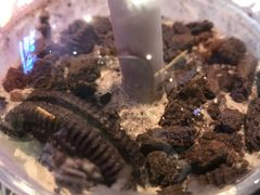 -Sevenbus一家奶茶店(侨荣城店)