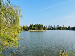 -杏花村文化旅游区