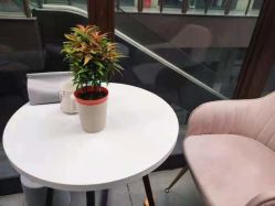 -Mirror care镜面皮肤管理