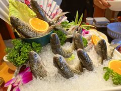 -一斗火锅·招财羊毛肚(北温泉九号店)