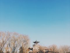 -老磁器口豆汁店(天坛店)