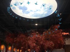 -雲蜀龙阁·金牌水煮鱼(方庄店)