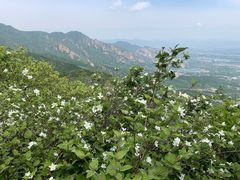 -阳台山自然风景区