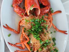 -巽寮湾海鲜批发码头