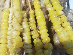 -京狮炙燥·精酿烧烤(首经贸店)