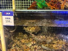 -开海·红岛海鲜虾水饺(石老人店)