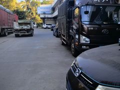 -杨合林啊兰烤鱼