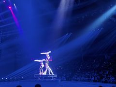 -珠海横琴长隆《卡卡虎奇遇记》