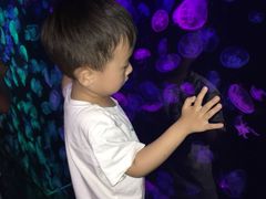 -大明湖海底世界