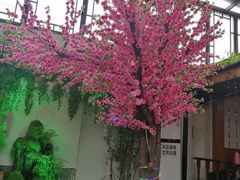 -丽江庭院之爱在路上(西单店)