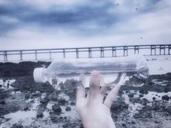-星海湾跨海大桥