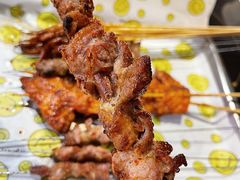 红柳羊肉-新疆烧烤王(广灵店)