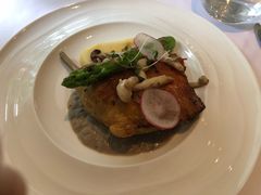 -蝶舍·MAISON PAPILLON