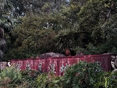 -洱海月湿地公园