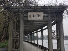 -西湖外事游船(花港观鱼码头)