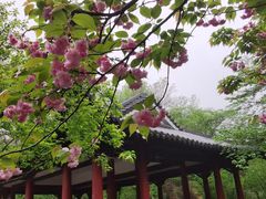 -杭州植物园