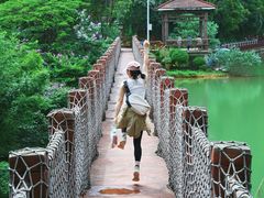 -广州白江湖森林公园