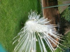 android_upload_pic-广东茂名森林公园