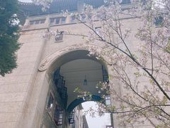 -武汉大学-樱园