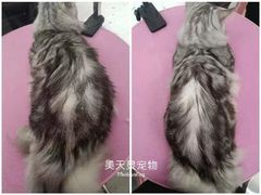 -FAELING PETS美天灵宠物(合生汇店)