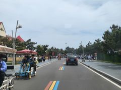 -日照海滨国家森林公园