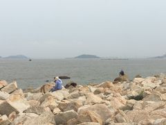 -野狸岛