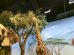 -陕西自然博物馆