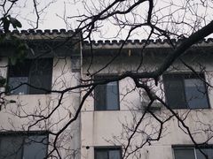 -常熟方塔园