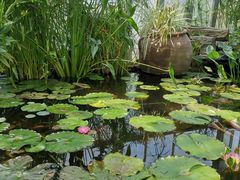 -国家植物园南园