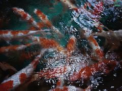 -多彩贵州城极地海洋世界