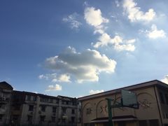 -上海市位育初级中学