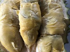 -大树下海鲜饭店