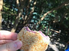 -三峡人家风景区