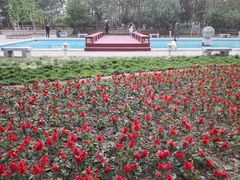 -燕郊植物园