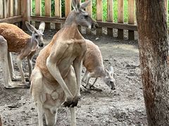 -水上乐园·欢乐世界