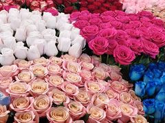 -越秀西湖花市(广州城市广场花卉店)