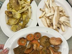 -原林野山菌火锅·炒菌(关上野生菌一条街店)
