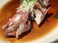 清蒸东星斑-苏浙总会(国金中心店)