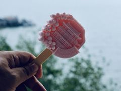 -杜甫江阁