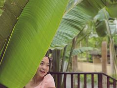 -西双版纳安纳塔拉度假酒店