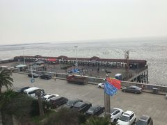 -上海棕榈滩海景酒店